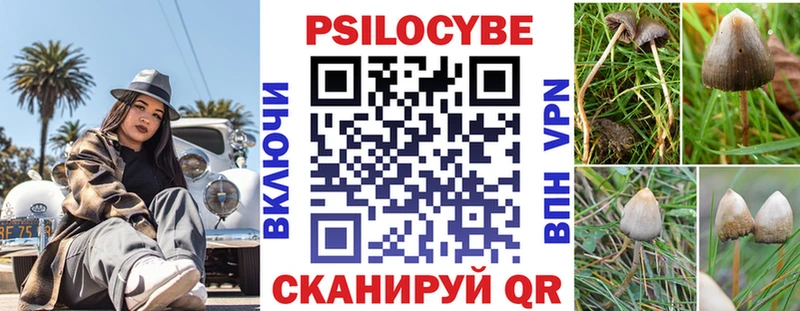 Купить закладки  Южно-Сахалинск  Галлюциногенные грибы Magic Shrooms 