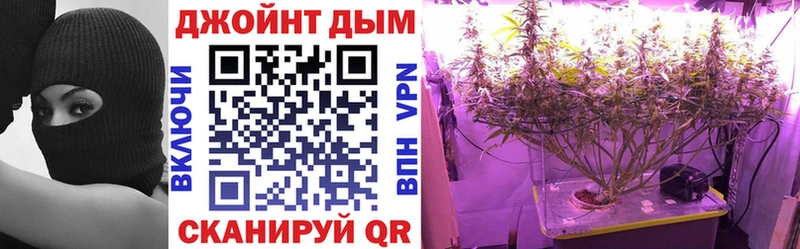 Купить  Южно-Сахалинск  Конопля семена 